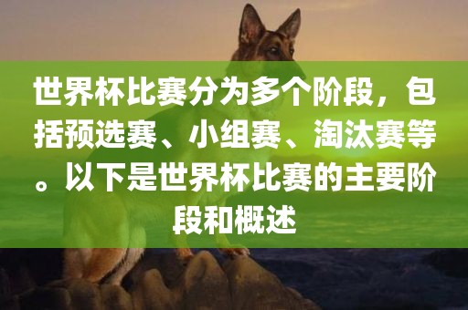 世界杯比赛分为多个阶段，包括预选赛、小组赛、淘汰赛等。以下是世界杯比赛的主要阶段和概述