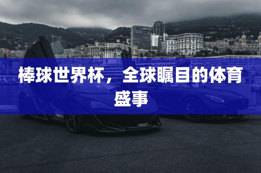 棒球世界杯，全球瞩目的体育盛事洪湖市顺升工程机械租赁有限公司