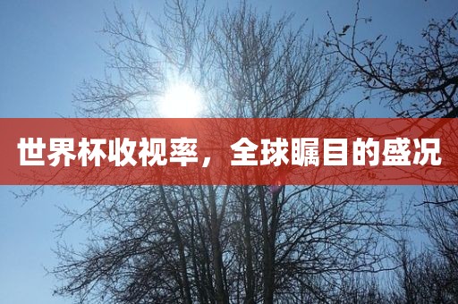 世界杯收视率，全球瞩目的盛况