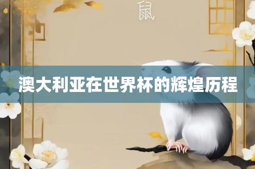 澳大利亚在世界杯的辉煌历程洪湖市顺升工程机械租赁有限公司