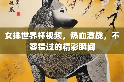 女排世界杯 第7页