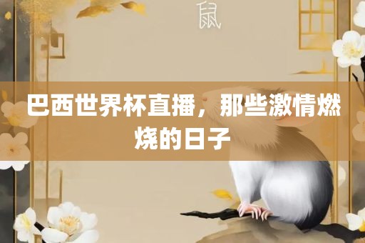 巴西世界杯直播，那些激情燃烧的日子