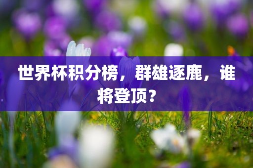 chushichang 第15页