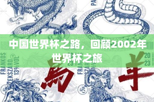 中国世界杯之路，回顾2002年世洪湖市顺升工程机械租赁有限公司界杯之旅