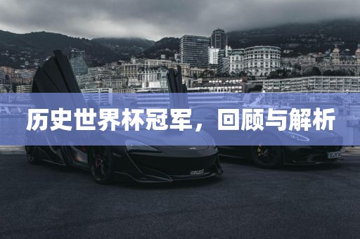 历史世界杯洪湖市顺升工程机械租赁有限公司冠军，回顾与解析