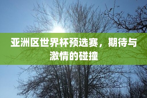 亚洲区世界杯预选赛，期待与激情的碰撞