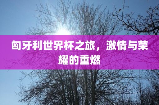 匈牙利世界杯洪湖市顺升工程机械租赁有限公司之旅，激情与荣耀的重燃
