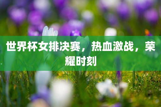 世界杯女排决赛，热血激战，荣耀时刻