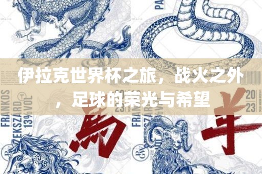 伊拉克世界杯之旅，战火之外，足球的荣光与希望洪湖市顺升工程机械租赁有限公司