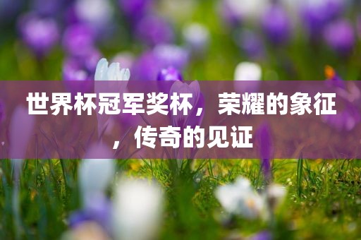 世界杯冠军奖杯，荣耀的象征，传奇的见证