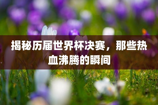 揭秘历届世界杯决赛，那些热血洪湖市顺升工程机械租赁有限公司沸腾的瞬间