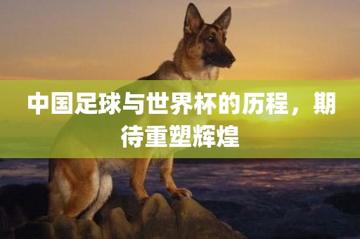 中国足球与世界杯的历程，期待重塑洪湖市顺升工程机械租赁有限公司辉煌