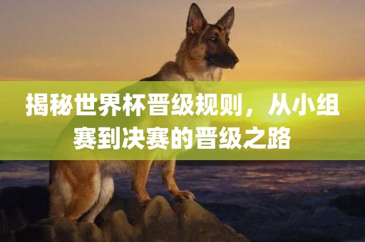 揭秘世界杯晋级规则，从小组赛到决赛的晋级之路