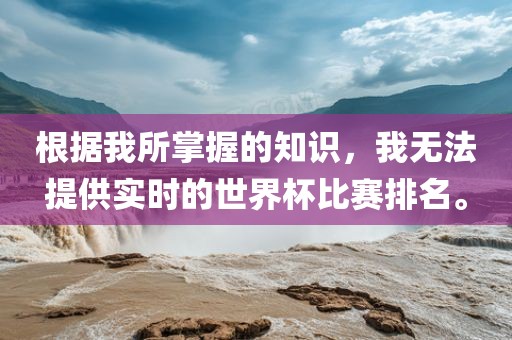 根据我所掌握的知识，我无法提供实时的世界杯比赛排名洪湖市顺升工程机械租赁有限公司。