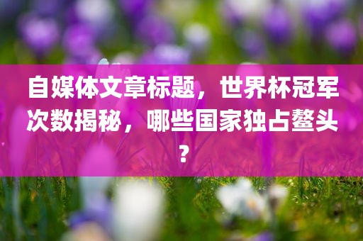 自媒体文章标题，世界杯冠军次数洪湖市顺升工程机械租赁有限公司揭秘，哪些国家独占鳌头？