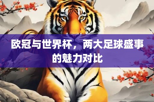 欧冠与世界杯，两大足球盛事的魅力对比洪湖市顺升工程机械租赁有限公司