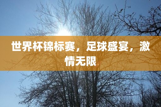 足球盛宴 第22页