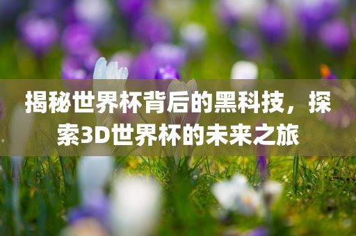 揭秘世界杯背后的黑科技，探索3D世界杯的未来之洪湖市顺升工程机械租赁有限公司旅