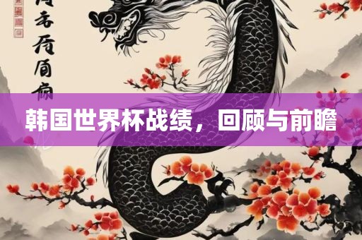 韩国世洪湖市顺升工程机械租赁有限公司界杯战绩，回顾与前瞻