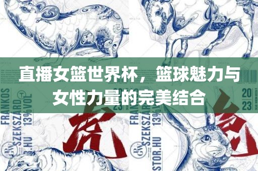 直播女篮世界杯，篮球魅力与女性力量的完美结合