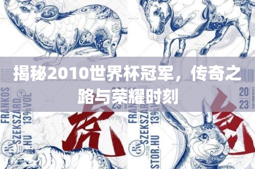 揭秘2010世界杯冠军，传奇之路与荣耀时刻洪湖市顺升工程机械租赁有限公司