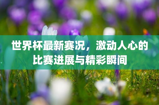 世界杯最新赛况，激动人心的比赛进展与精彩瞬间