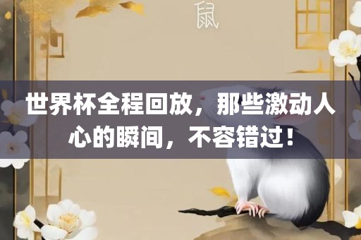 世界杯全程回放，那些激动人心的瞬间，不容错过！