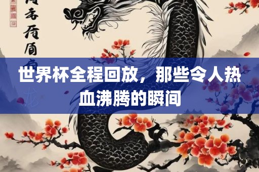 世界杯全程回放，那些令人热血沸腾的瞬间