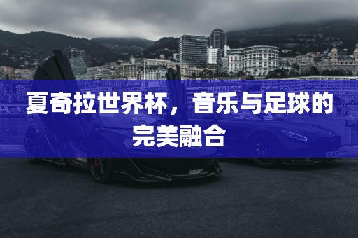 夏奇拉世界杯，音乐与足球的完美融合洪湖市顺升工程机械租赁有限公司