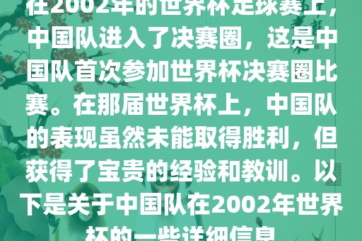 在2002年的世界杯足球赛上，中国队进入了决赛圈，这是中国队首次参加世界杯决赛圈比赛。在那届世界杯上，中国队的表现虽然未能取得胜利，但获得了宝贵的经验和教训。以下是关于中国队在2002年世界杯的一些详细信息