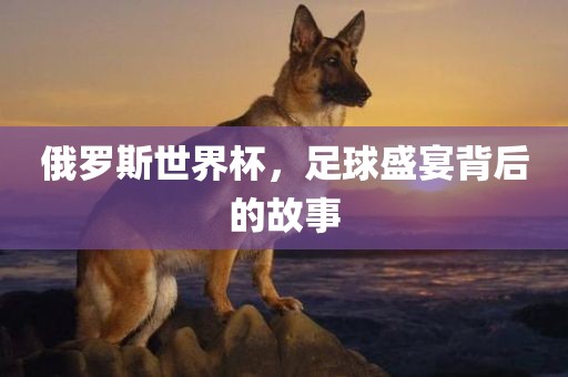 俄罗斯世界杯，足洪湖市顺升工程机械租赁有限公司球盛宴背后的故事