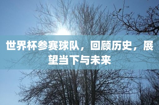 世界杯参赛球队，回顾历史，展望当下与未来