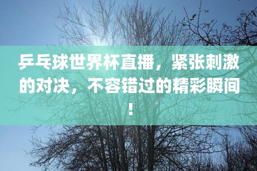 乒乓球世界杯直播，紧张刺激的对决，不容错过的精彩瞬间！