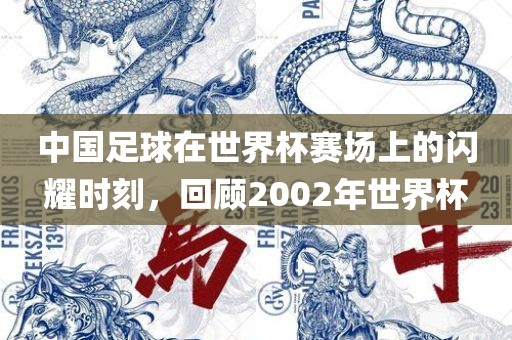 中国足球在世界杯赛场上的闪耀时刻，回顾2002年世界杯洪湖市顺升工程机械租赁有限公司