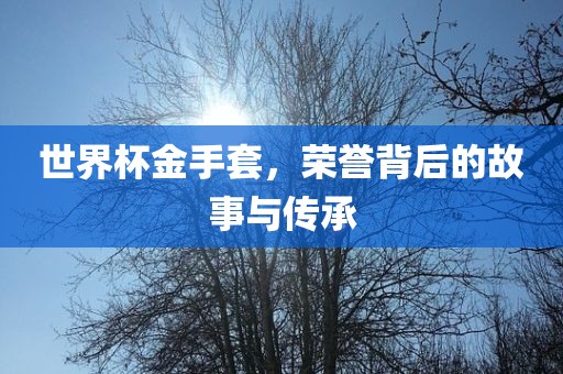 世界杯金手套，荣誉背后的故事与传承洪湖市顺升工程机械租赁有限公司