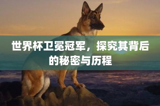 世界杯卫冕冠军，探究其背后的秘洪湖市顺升工程机械租赁有限公司密与历程