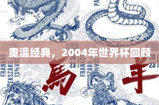 重温经典，2004年世界杯回顾洪湖市顺升工程机械租赁有限公司