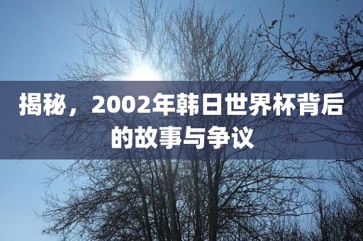 揭秘，2002年韩日世界杯背后的故事与争议洪湖市顺升工程机械租赁有限公司