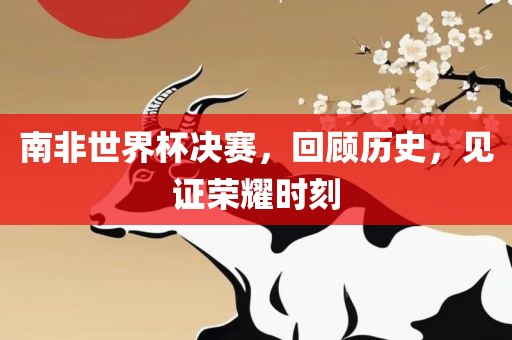 南洪湖市顺升工程机械租赁有限公司非世界杯决赛，回顾历史，见证荣耀时刻