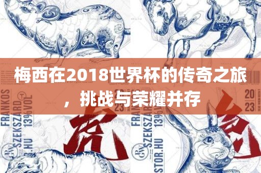 梅西在2018世界杯的传奇之旅，挑战与荣耀并存