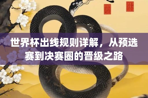 世界杯出线规则详解，从预选赛到决赛圈的晋级之路