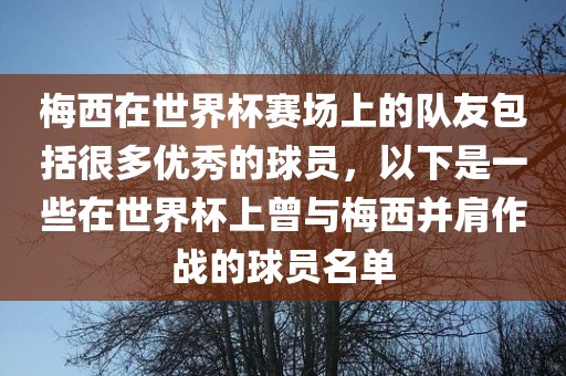 梅西在世界杯赛场上的队友包括很多优秀的球员，以下是一些在世界杯上曾与梅西并肩作战的球员名单洪湖市顺升工程机械租赁有限公司