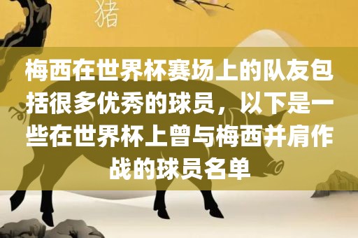 梅西在世界杯赛场上的队友包括很多优秀的球员，以下是一些在世界杯上曾与梅西并肩作战的球员名单洪湖市顺升工程机械租赁有限公司