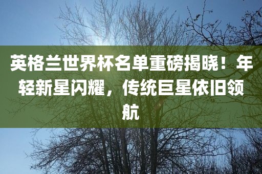 英格兰世界杯名单重磅揭晓！年轻新星闪耀，传统巨星依旧领航洪湖市顺升工程机械租赁有限公司
