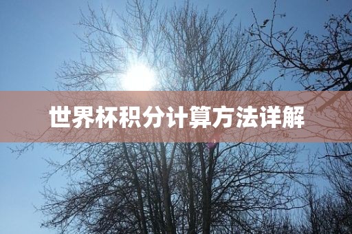世界杯积分计算方法详解洪湖市顺升工程机械租赁有限公司