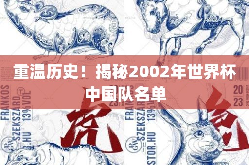 重温历史！揭秘2002年世界杯中国队名单洪湖市顺升工程机械租赁有限公司