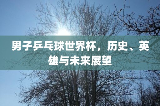 男子乒乓球世界杯，历史、英雄与未来展望洪湖市顺升工程机械租赁有限公司