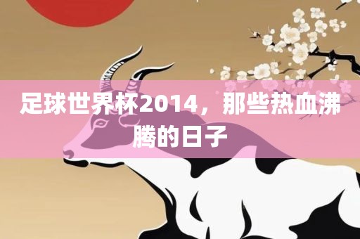 足球世界杯2014，那些热血沸腾的日子