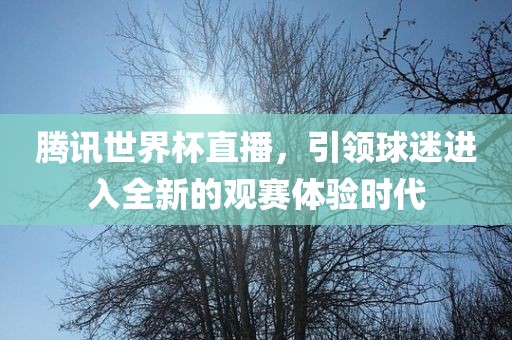 腾讯世界杯直播，引领球迷进入全新的观赛体验时代