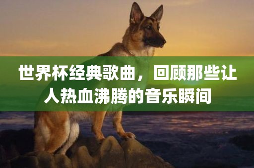 世界杯经典歌曲，回顾那些让人热血沸腾的音乐瞬间